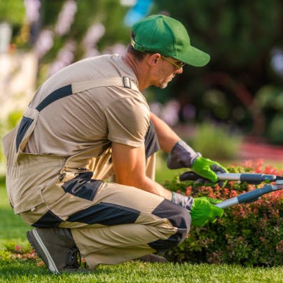 Serviço de Jardinagem